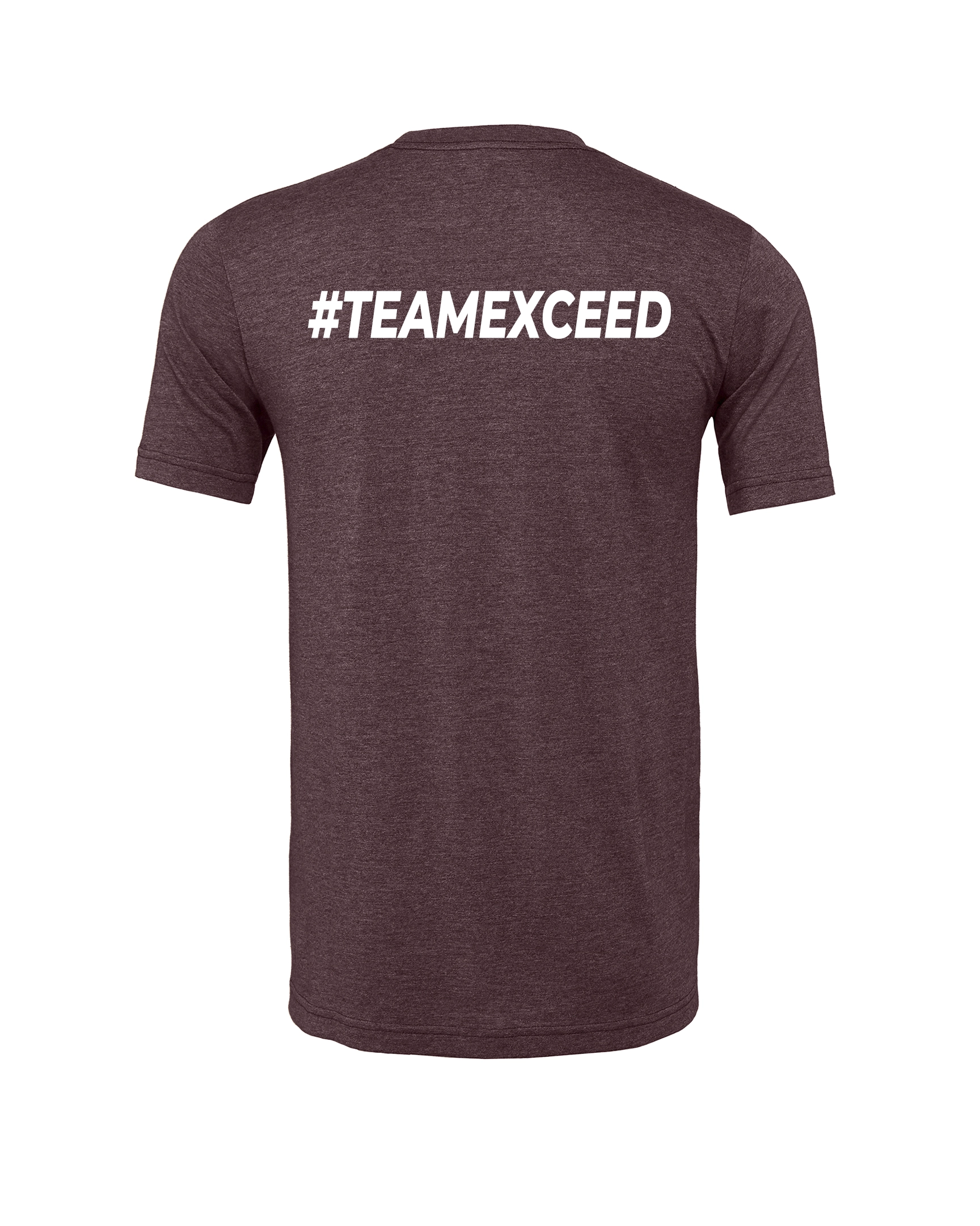 teamshirt-marron-back